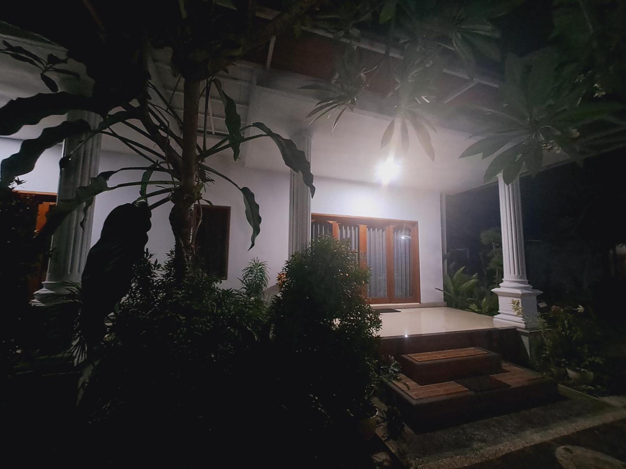 Srinadi Guest House Lovina Exterior photo